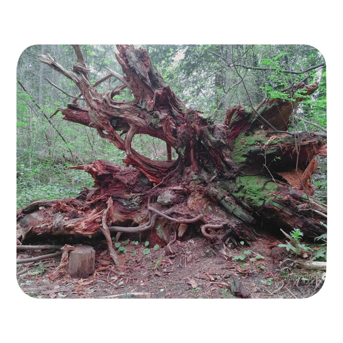 Nature Mouse Pad-2