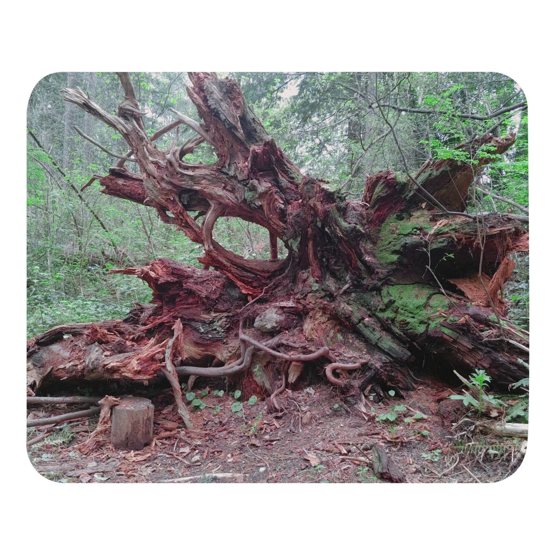 Nature Mouse Pad-2
